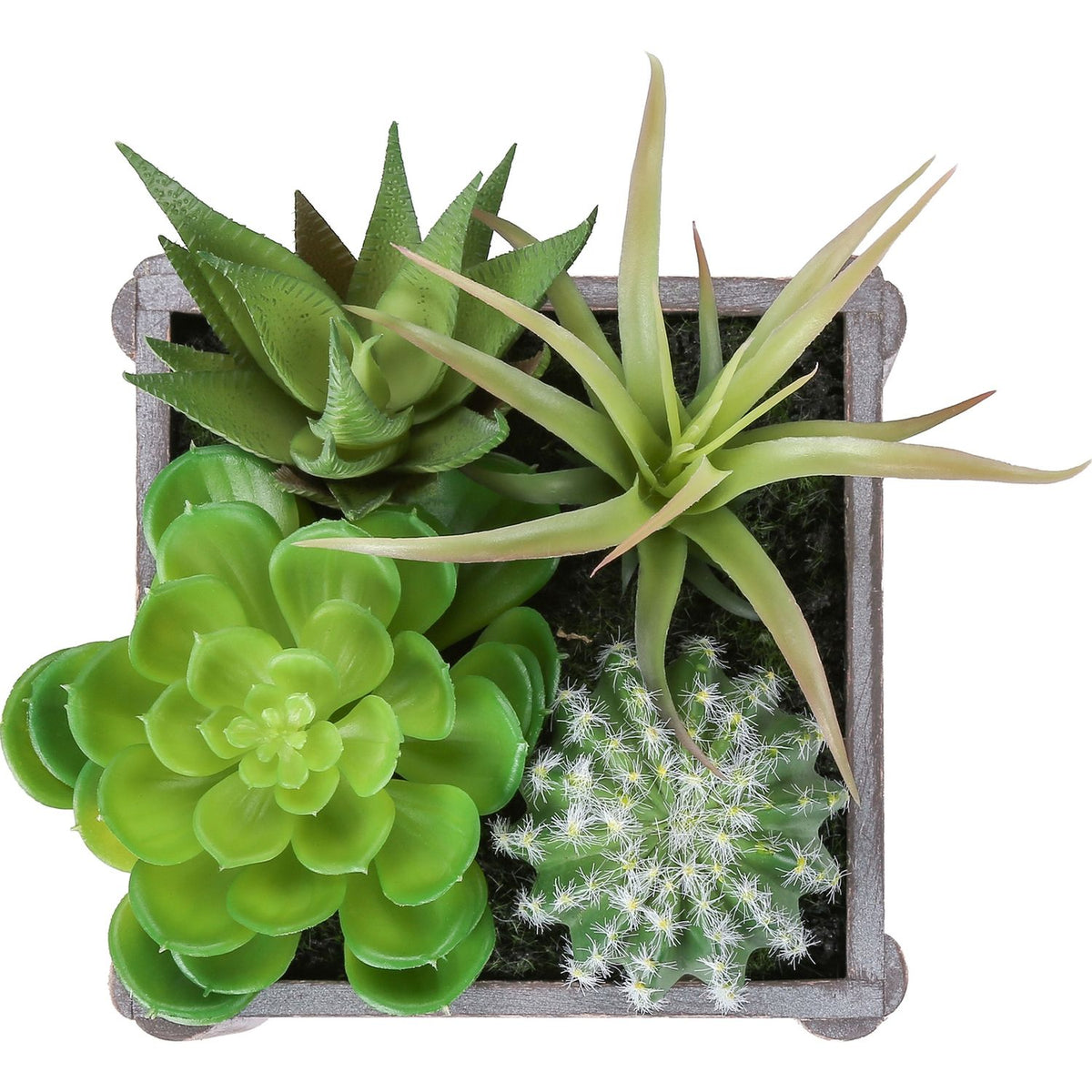Suculenta artificial, decoración de mesa (juego de 2) - Verde / Gris oscuro