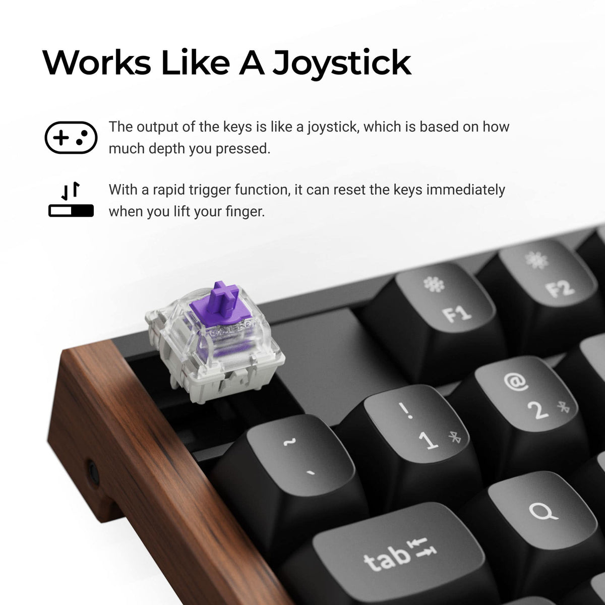 Keychron - K10 HE 100% Custom Hall Effect Mechanical Gaming Keyboard with Programmable QMK Launcher Software - Black