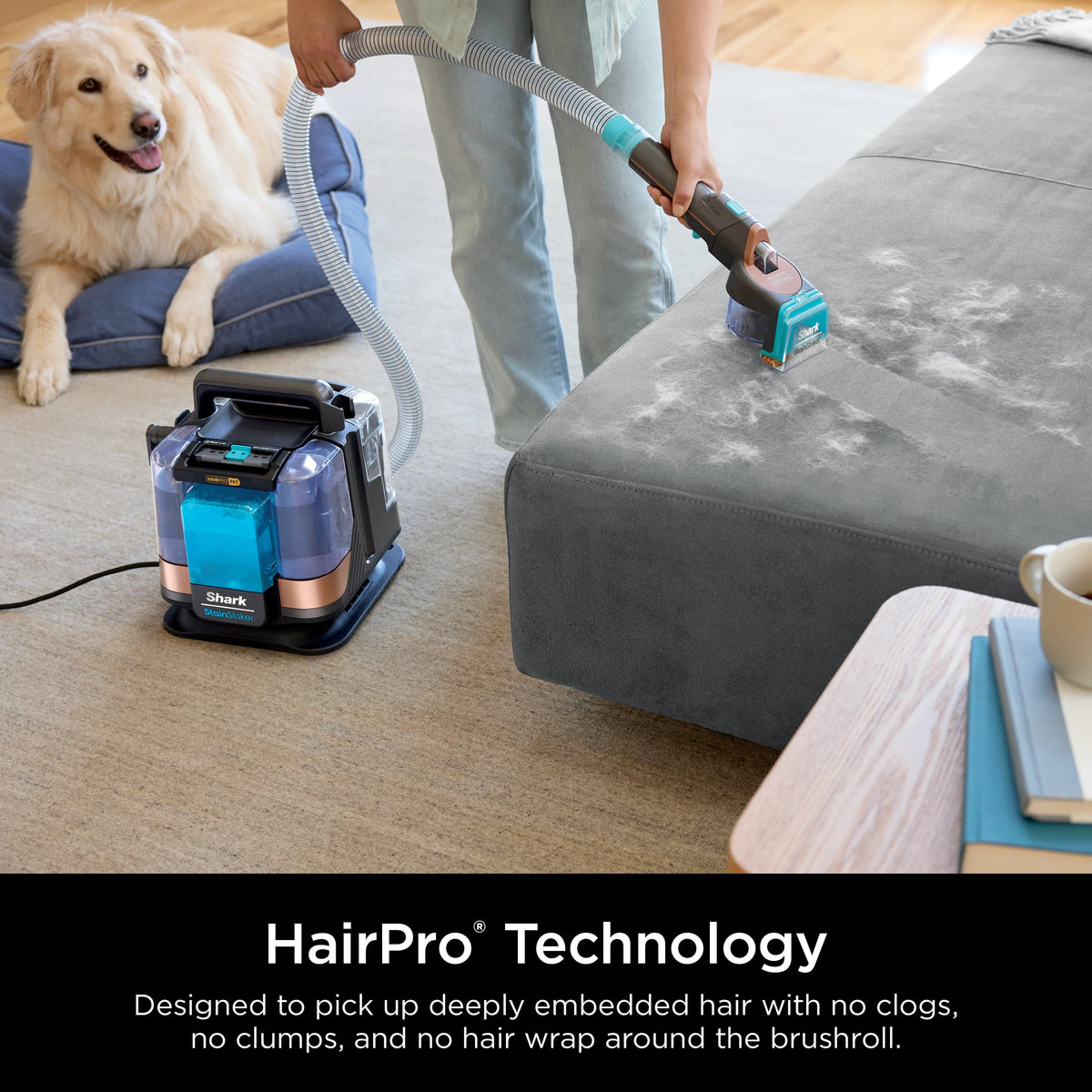 Shark - StainStriker HairPro Portable Carpet, Upholstery & Area Rug Cleaner Perfect for Pets & Car Interiors - Copper/Gray