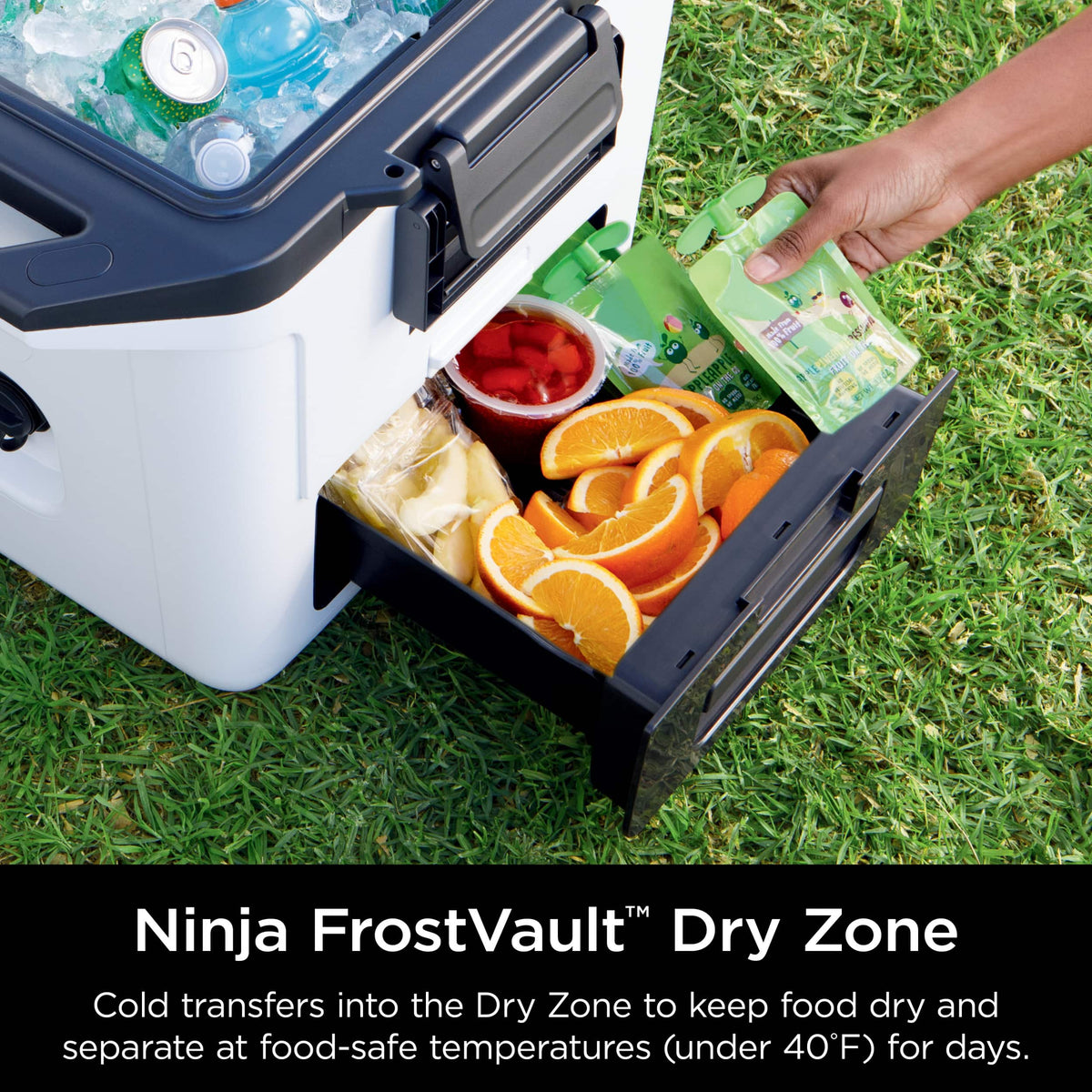 Ninja - FrostVault 30qt Hard Cooler with Dry Zone - Cloud White