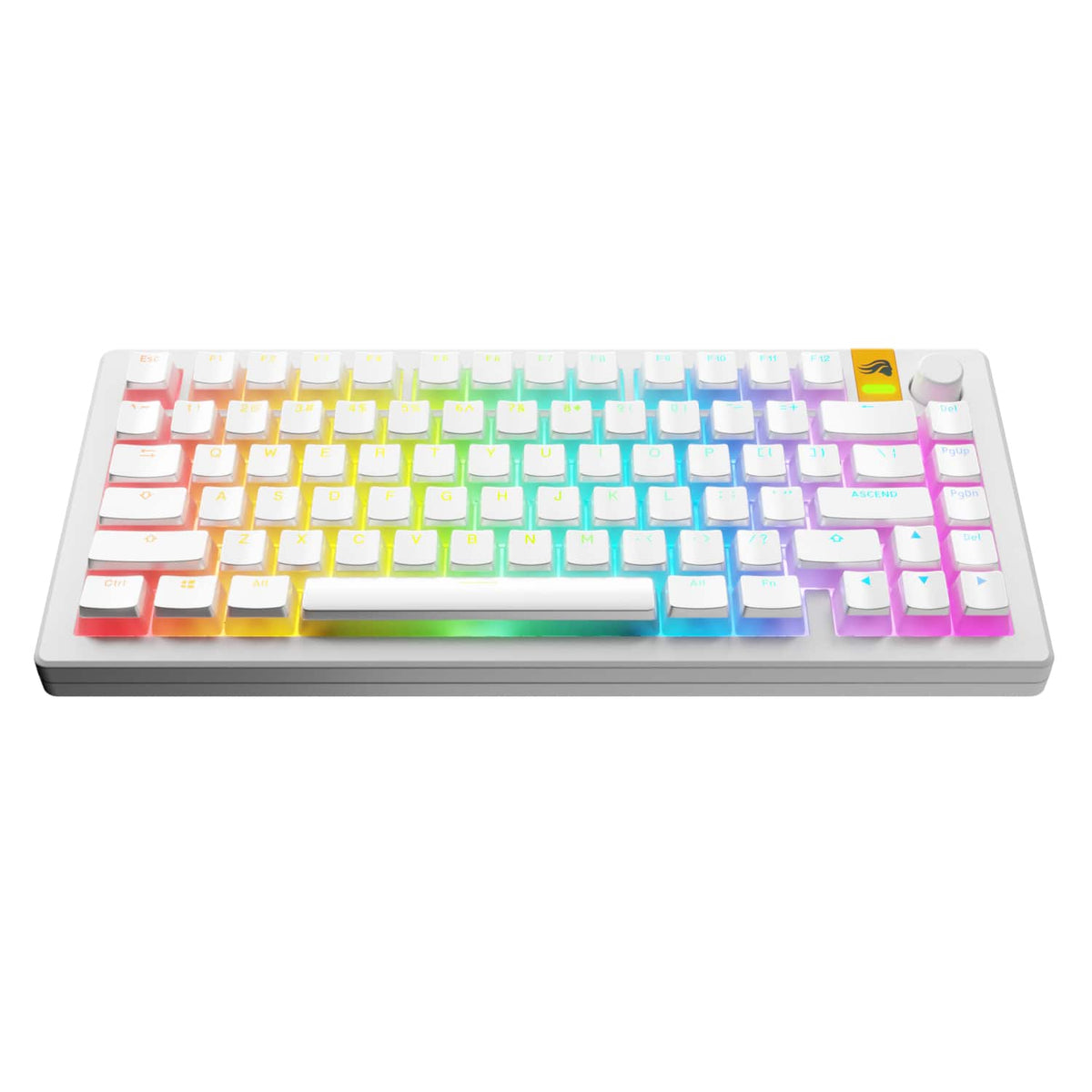 Glorious - Aura V3 Pudding-Style Universal Keycaps for 100% 85% 80% TKL 60% Compact 75% Mechanical Keyboards - White