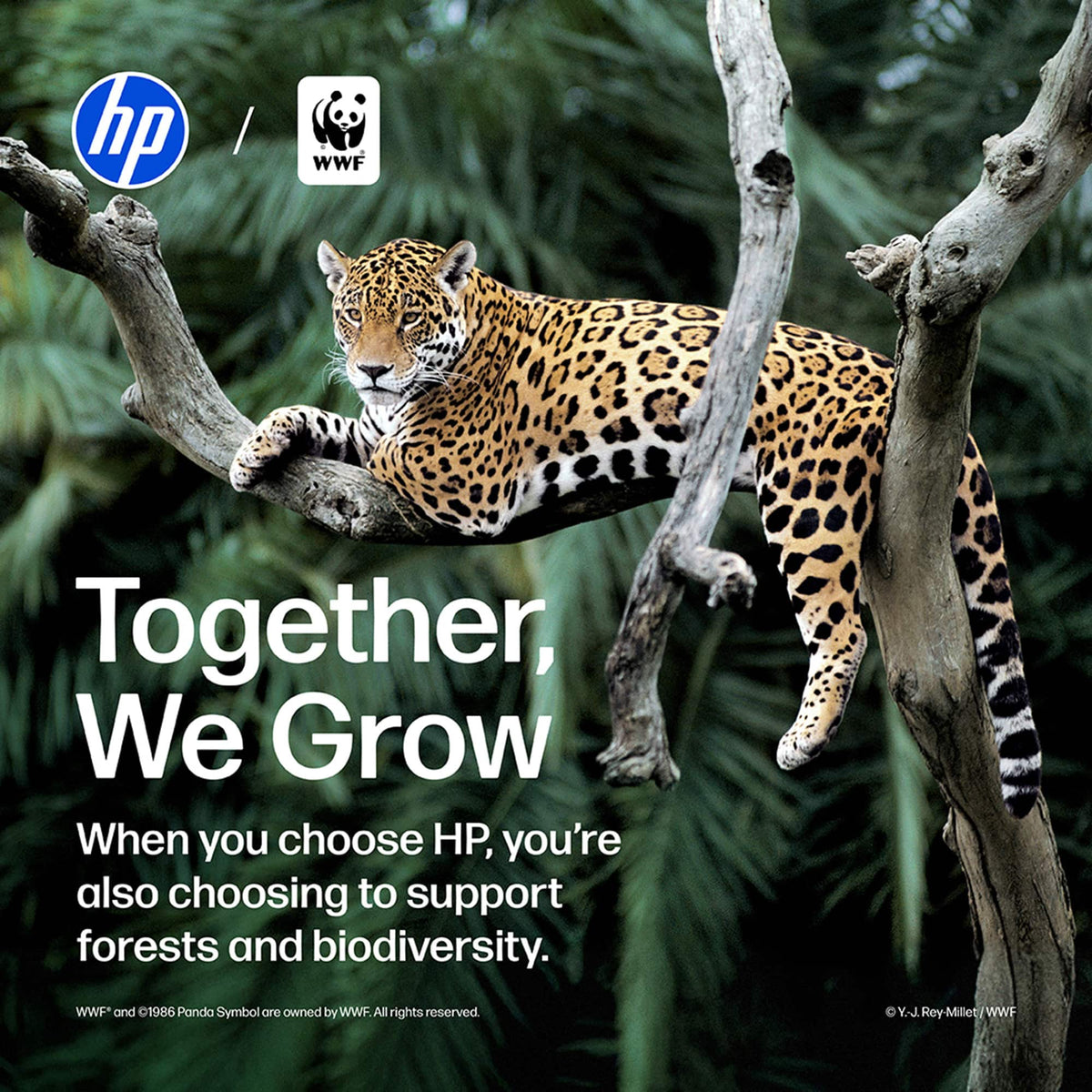 HP - LaserJet Pro MFP 3101sdw Wireless AI-Enabled Black-and-White All-in-One Laser Printer - White