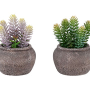 Suculenta artificial, decoración de mesa (juego de 2) - verde / marrón