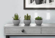 Plantas Suculentas Artificiales (Juego de 3)