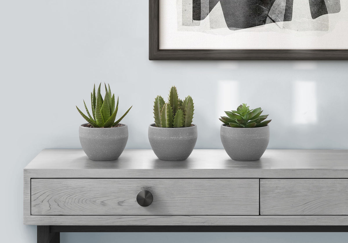Plantas Suculentas Artificiales (Juego de 3)