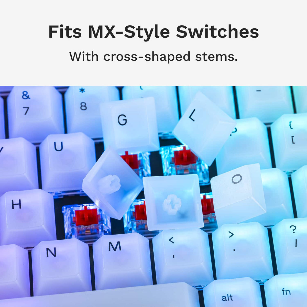 Glorious - Polychroma Translucent Universal RGB Keycaps for 100% 85% 80% TKL 60% Compact 75% Mechanical Keyboards - Translucent V2