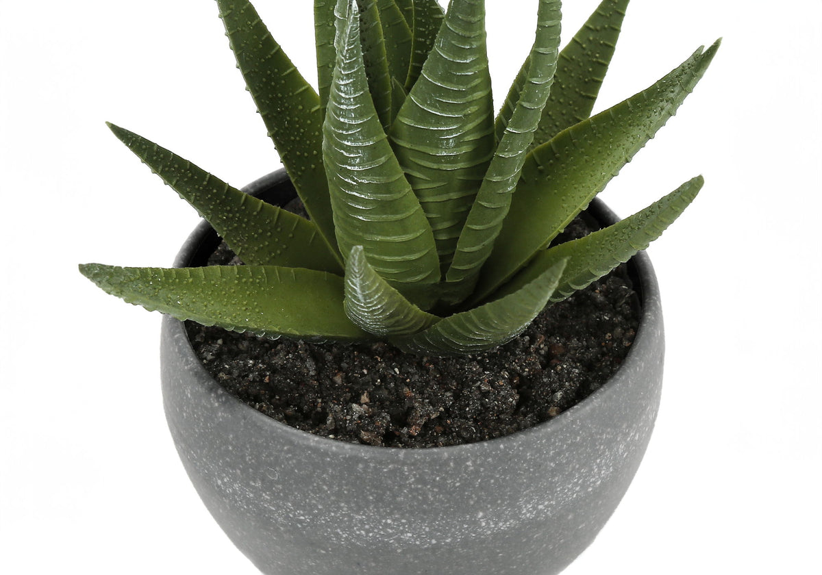 Plantas Suculentas Artificiales (Juego de 3)