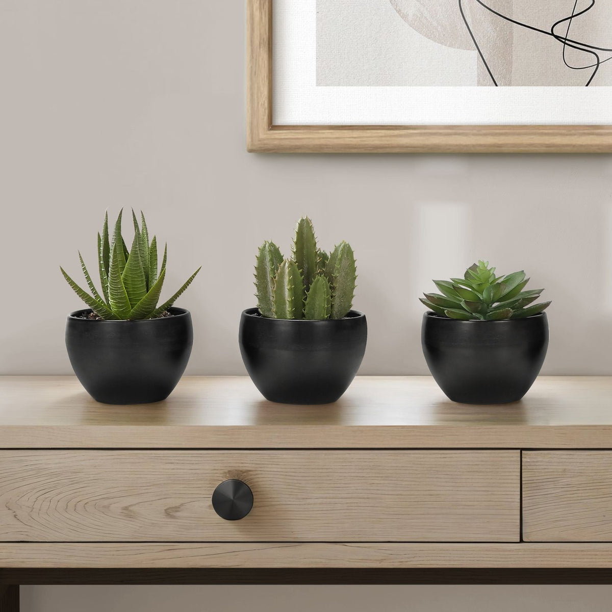 Plantas Suculentas Artificiales (Juego de 3)