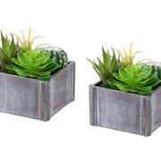 Suculenta artificial, decoración de mesa (juego de 2) - Verde / Gris oscuro