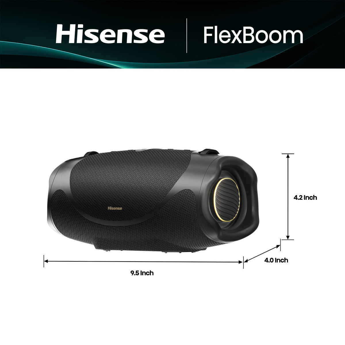 Hisense - Portable Speaker - Black
